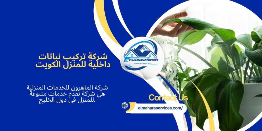 تركيب نباتات داخلية للمنزل