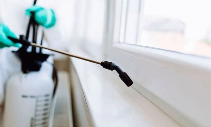 مكافحة حشرات الكويت