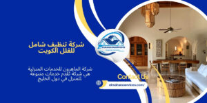 تنظيف شامل للفلل